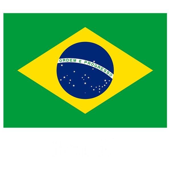 bandeirinhas de 32 países diferentes com 9m decoração para missões eventos